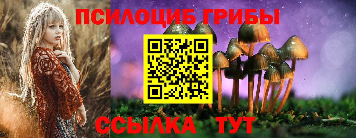 Псилоцибиновые грибы ЛСД Бузулук